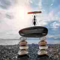 ssl证‍书﻿一﻿般‌是﻿多​少‍钱‌